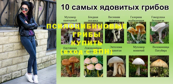 дурь Алексеевка