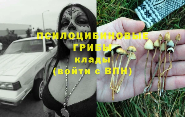 jwh Алзамай