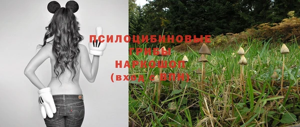 jwh Алзамай